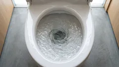 Bakterie z toaletní mísy se usazují dokonce i na vašem zubním kartáčku – jak tomu zabránit