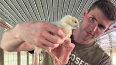 27letý bankéř se vzdal platu 150 000 dolarů a odešel chovat slepice – a tady je důvod